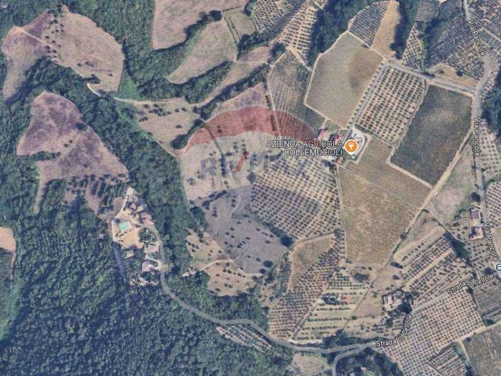 Terreno a San gimignano in Località Libbiano - Foto 5