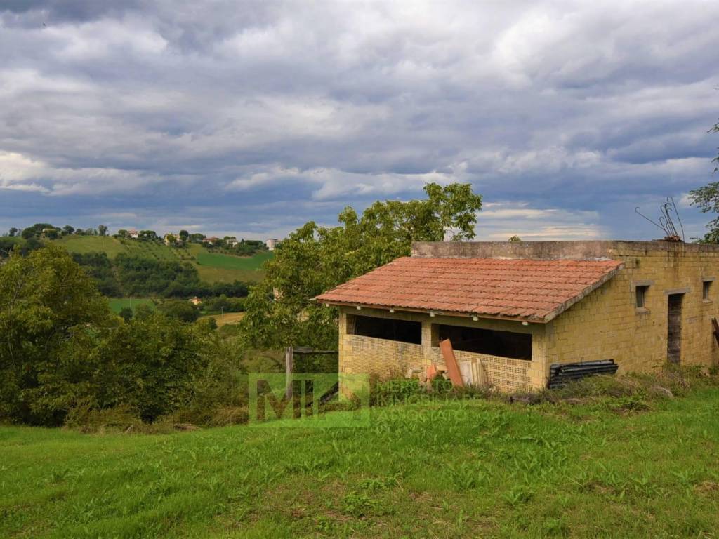 Rustico / casale a Mogliano in c.da mossa, 28 - Foto 4