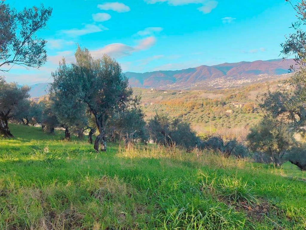 Terreno a Cosenza in MUOIO PICCOLO - Foto 2