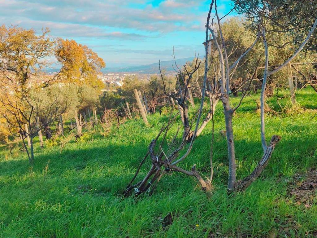 Terreno a Cosenza in MUOIO PICCOLO - Foto 3