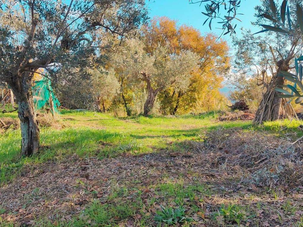 Terreno a Cosenza in MUOIO PICCOLO - Foto 4
