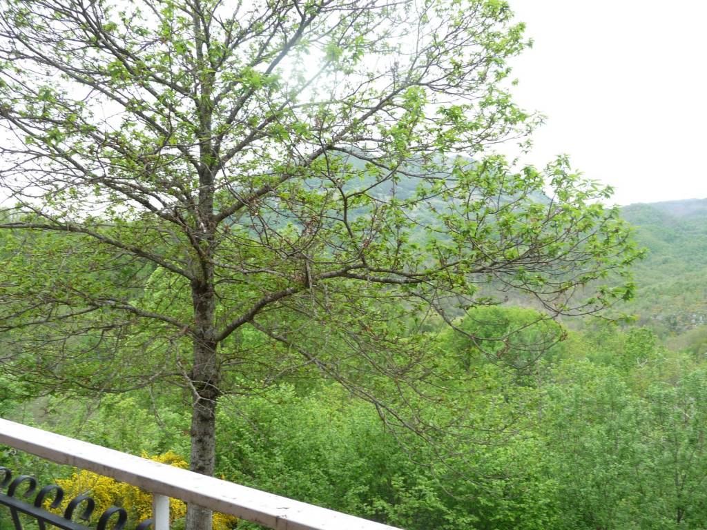 Appartamento a Nespolo in Via delle Querce, 15 - Foto 3