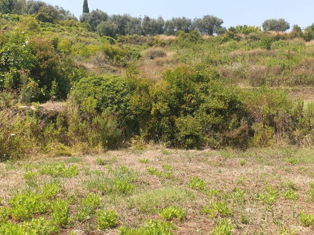Terreno a San bartolomeo al mare in Via Pairola, 70 - Foto 2