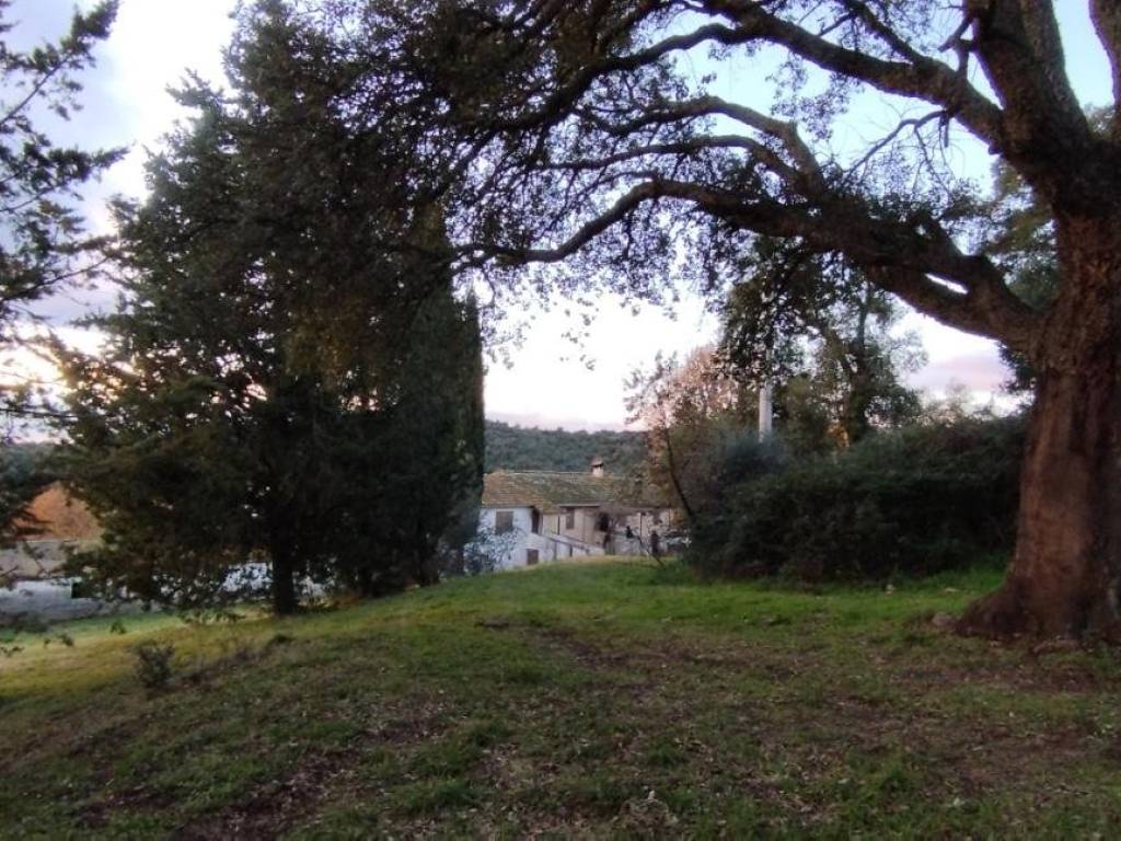 Terreno a Roccastrada - Foto 3