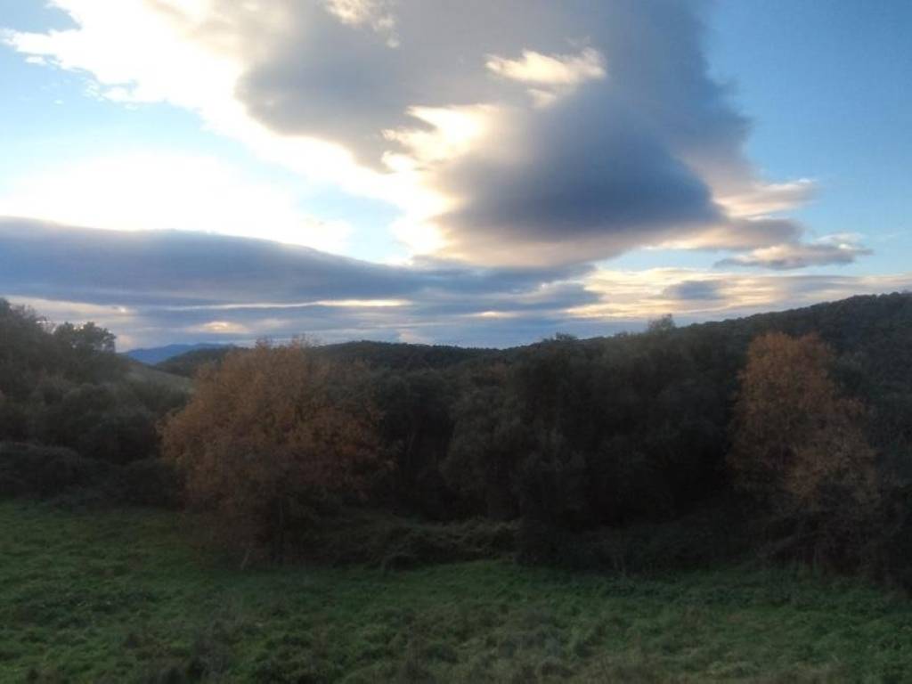 Terreno a Roccastrada - Foto 4