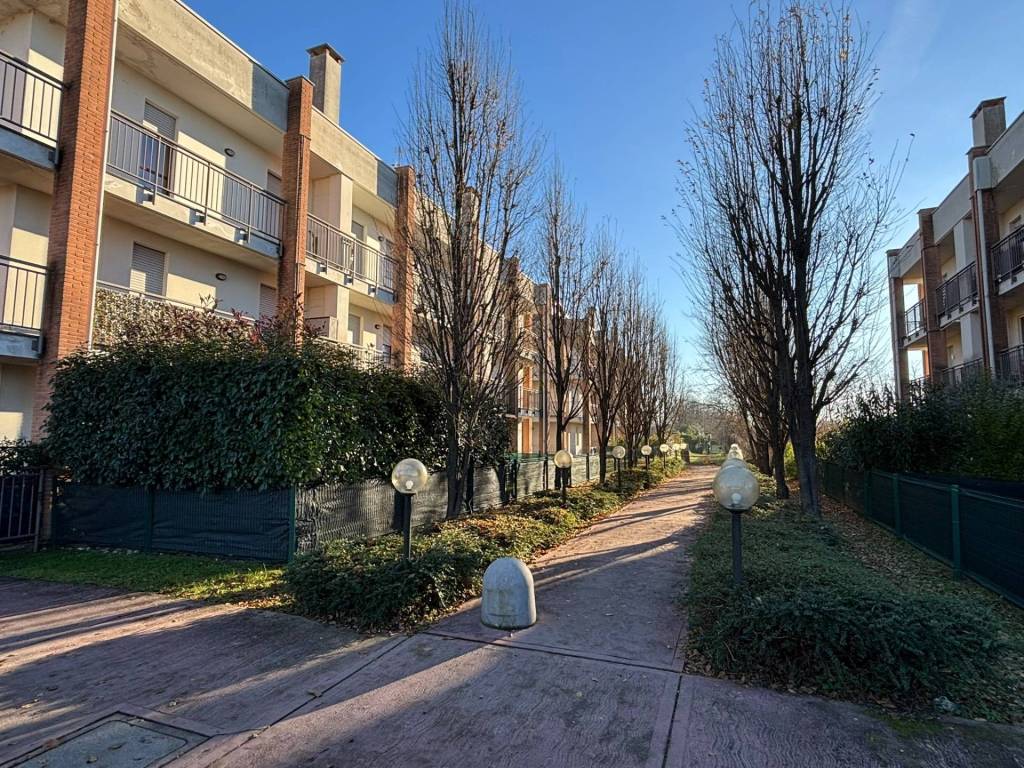 Appartamento a Cardano al campo in via Cadore, 28 - Foto 5