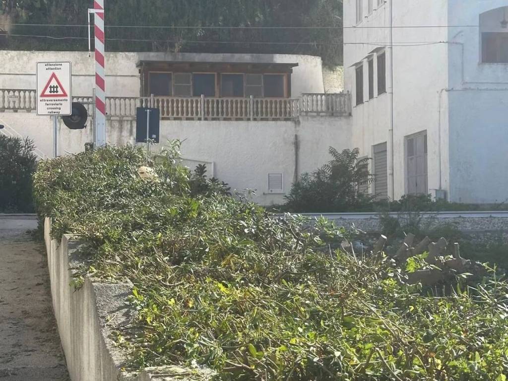 Appartamento a Vico del gargano in Lungomare Andrea Pazienza, 117 - Foto 3