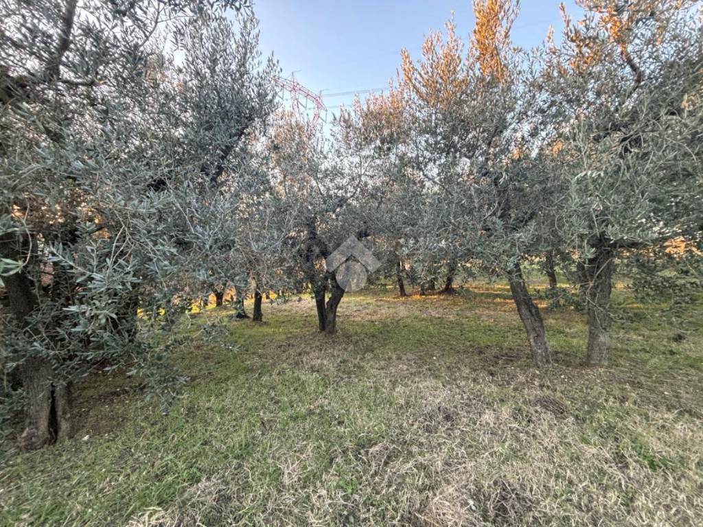 Casa indipendente a San gemini in Località Cerreta, 60 - Foto 2