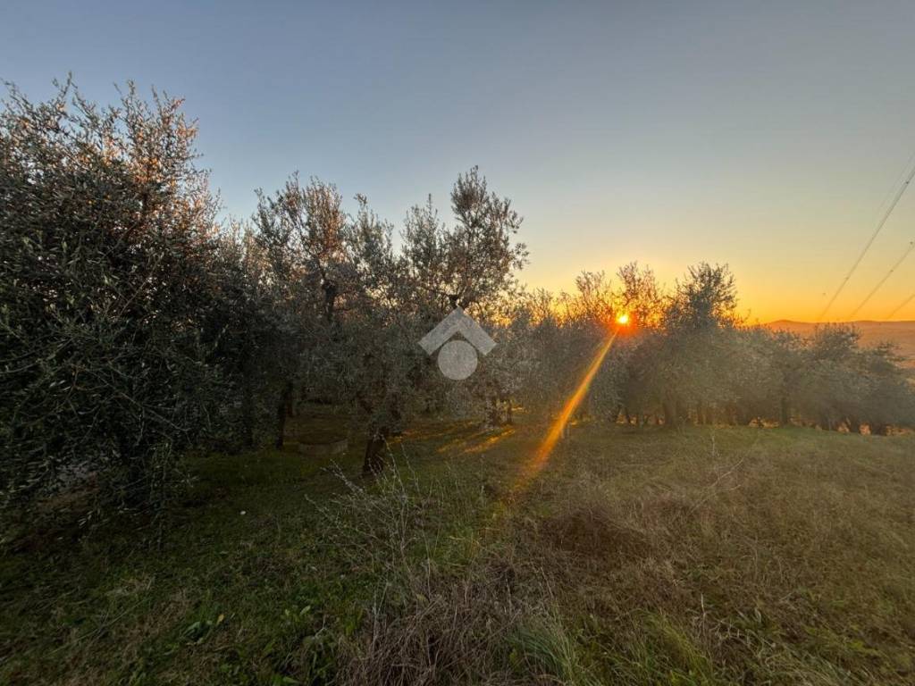 Casa indipendente a San gemini in Località Cerreta, 60 - Foto 3