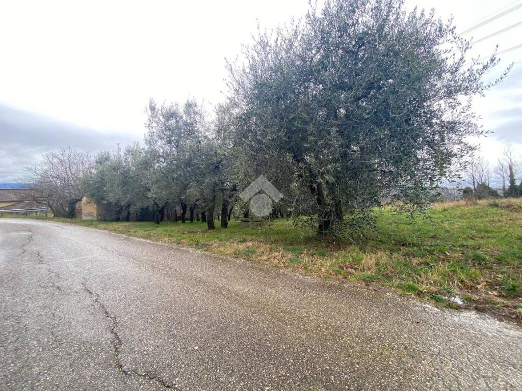 Casa indipendente a San gemini in Località Cerreta, 60 - Foto 4