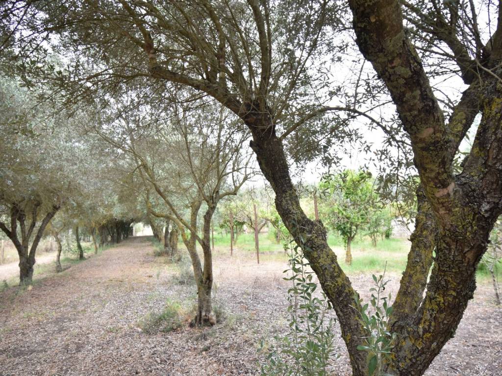 Villa a Iglesias in SS130 - Foto 3