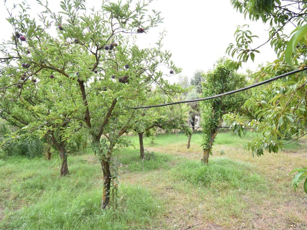 Villa a Iglesias in SS130 - Foto 4