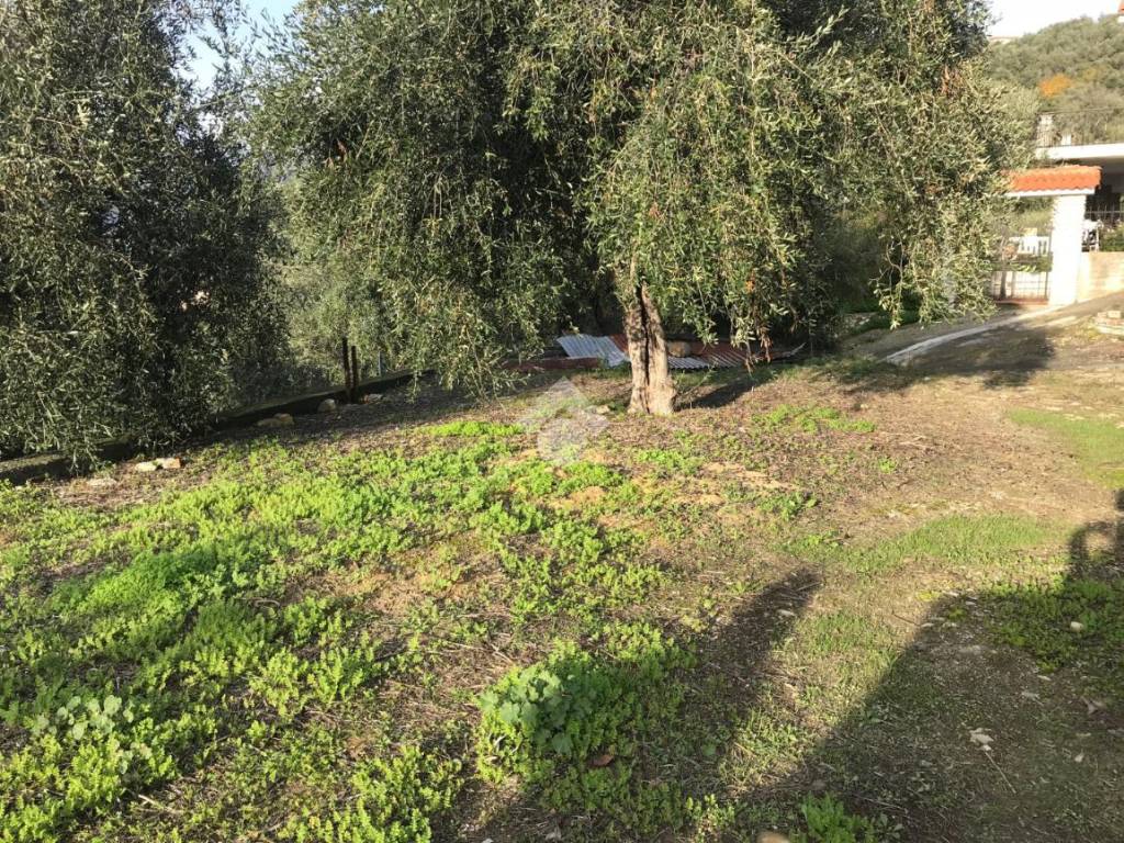 Terreno a Imperia in Via Nazionale - Foto 2