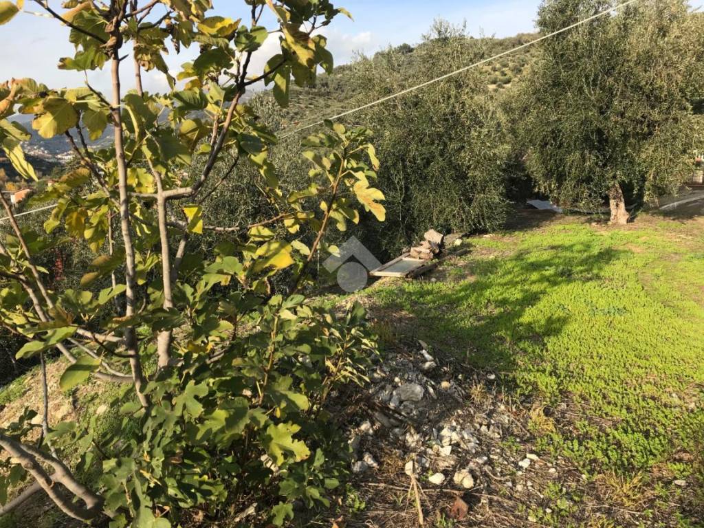 Terreno a Imperia in Via Nazionale - Foto 3