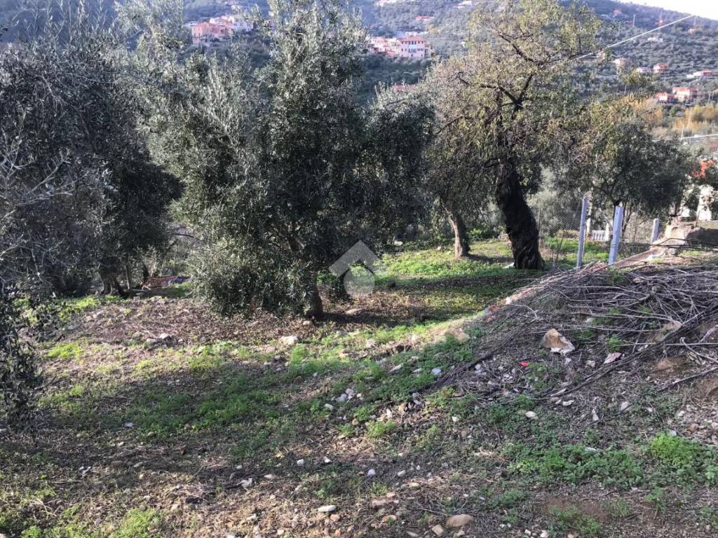 Terreno a Imperia in Via Nazionale - Foto 4