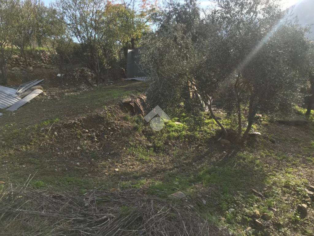 Terreno a Imperia in Via Nazionale - Foto 5