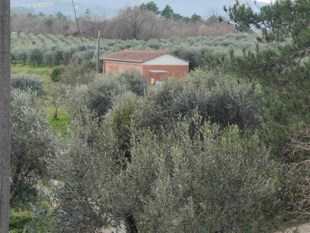Terreno a Montevarchi in Via di Moncioni - Foto 3