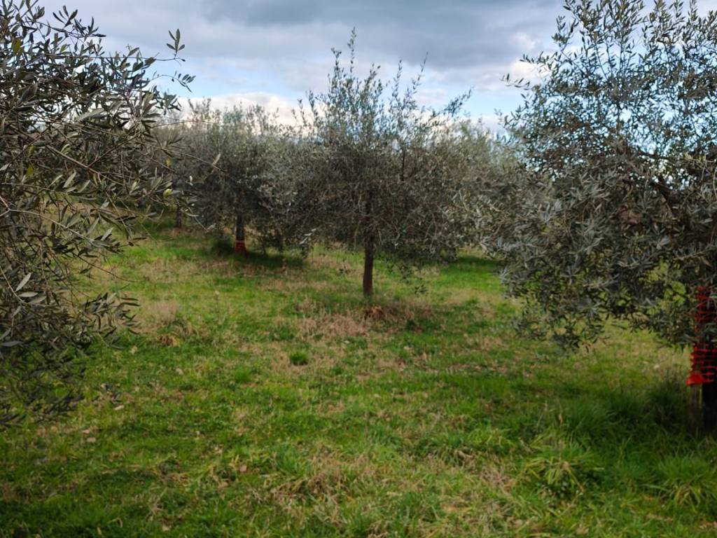Terreno a Montevarchi in Via di Moncioni - Foto 4