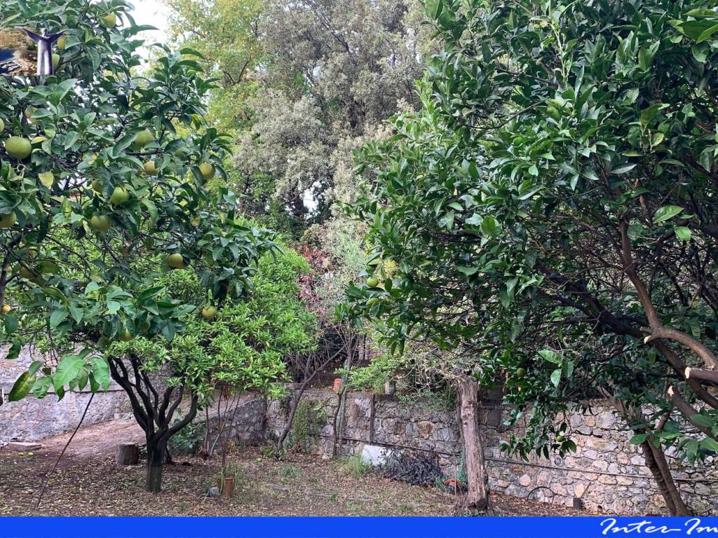 Terreno a Maratea - Foto 5