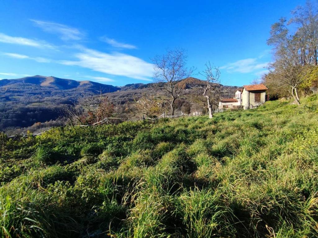 Terreno a Centro valle intelvi in Via Campora , 6 - Foto 2