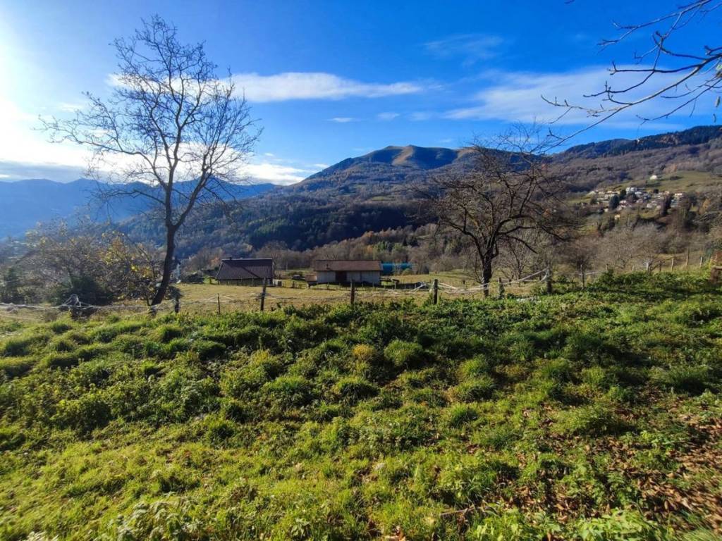Terreno a Centro valle intelvi in Via Campora , 6 - Foto 4