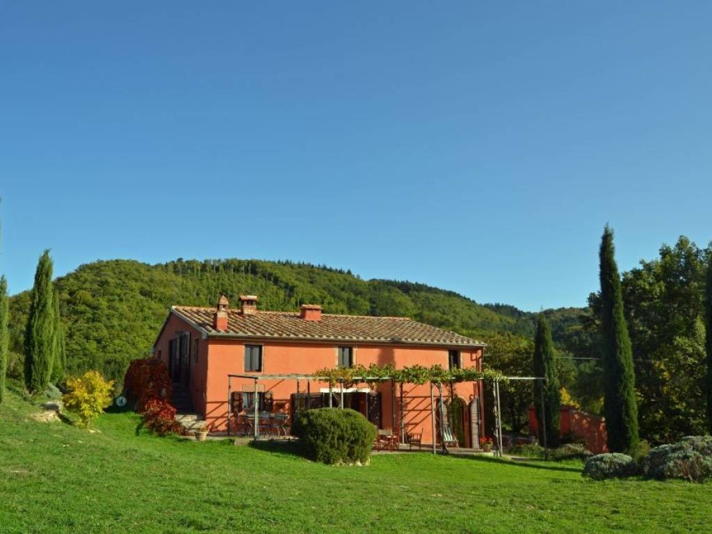Rustico / casale a Cinigiano - Foto 2