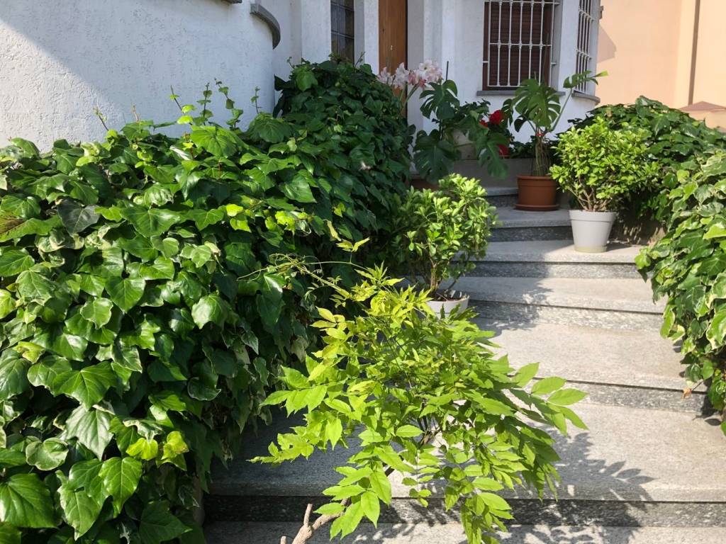 Villa a Garlasco in giacomo leopardi , 14 - Foto 4