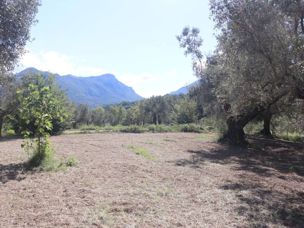 Terreno a Melizzano - Foto 3