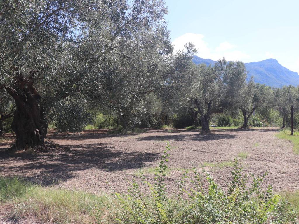 Terreno a Melizzano - Foto 4