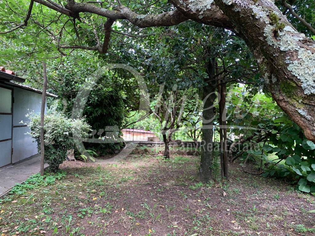 Casa indipendente a Pescaglia in Frazione Gello, 70 - Foto 3
