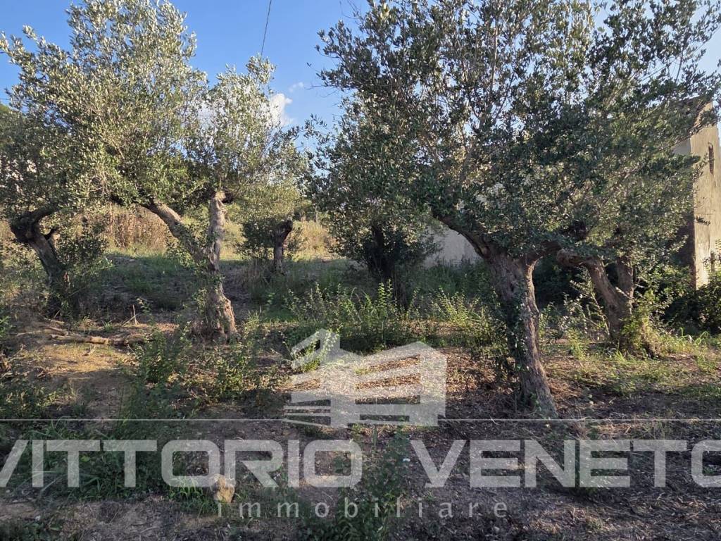 Immobile a Laureana cilento in Contrada San Paolo - Foto 5