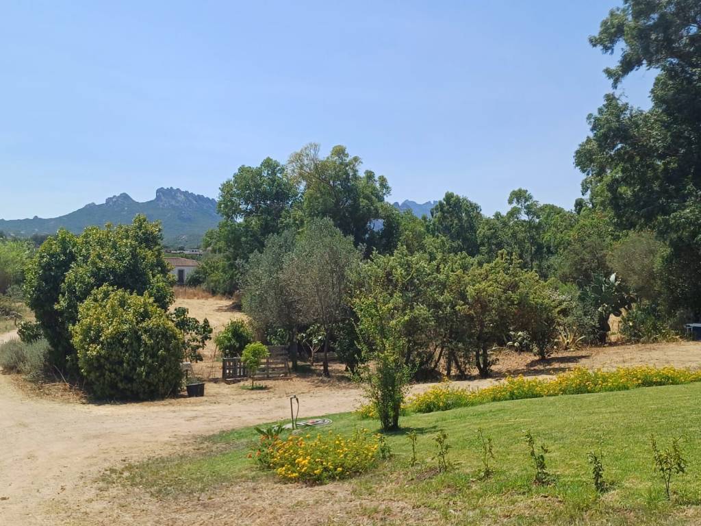 Villa a Arzachena in Località Monticanaglia - Foto 4