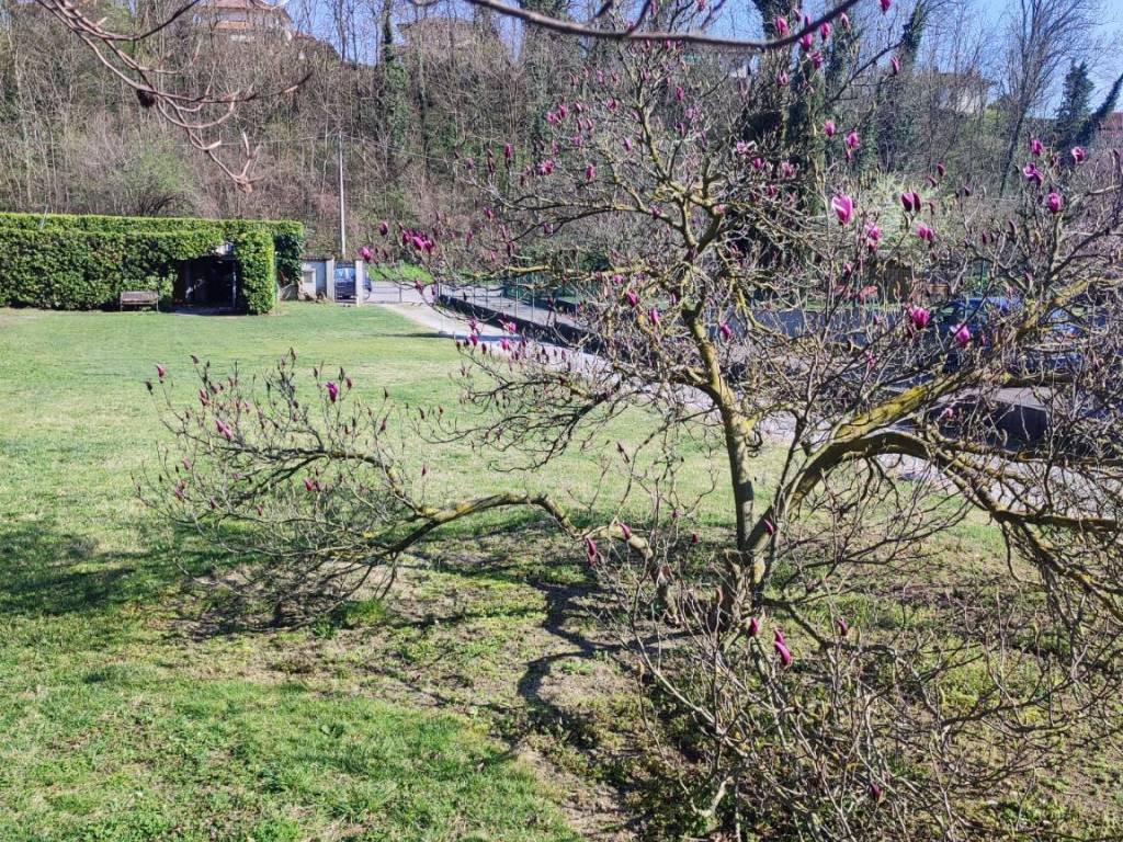 Villa a Colverde in Strada Provinciale Garibaldina - Foto 4