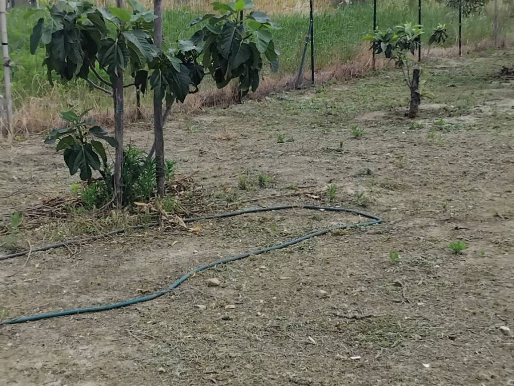 Terreno a Crotone in Via dei Lillà - Foto 2
