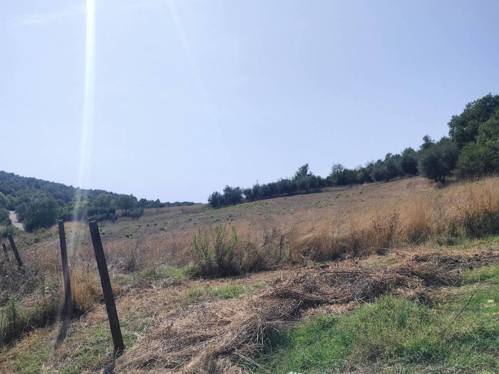 Rustico / casale a Pitigliano - Foto 2