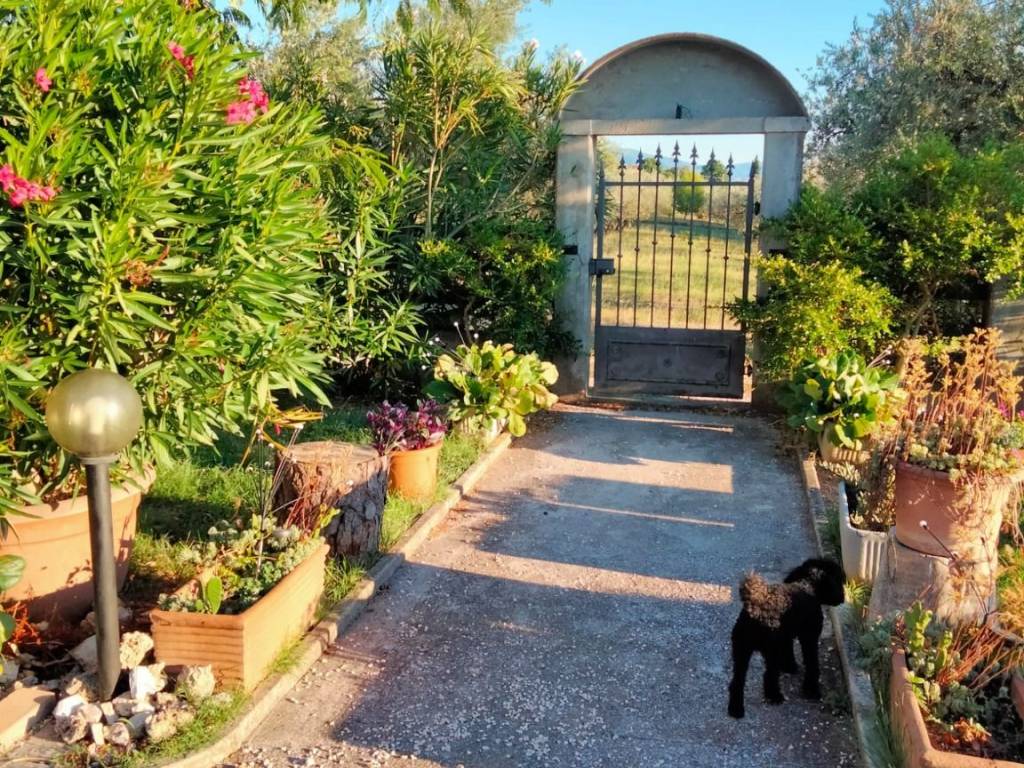 Casa indipendente a Trevi in Via delle Ginestre - Foto 3