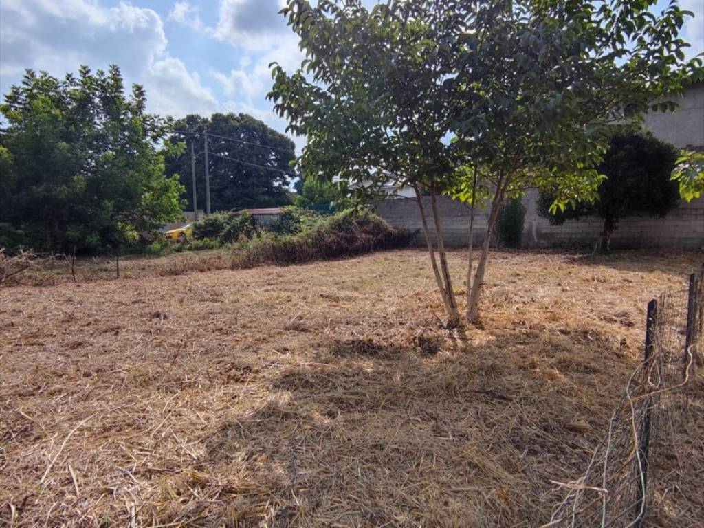 Terreno a Taurianova in Via Carmine Luvara - Foto 2