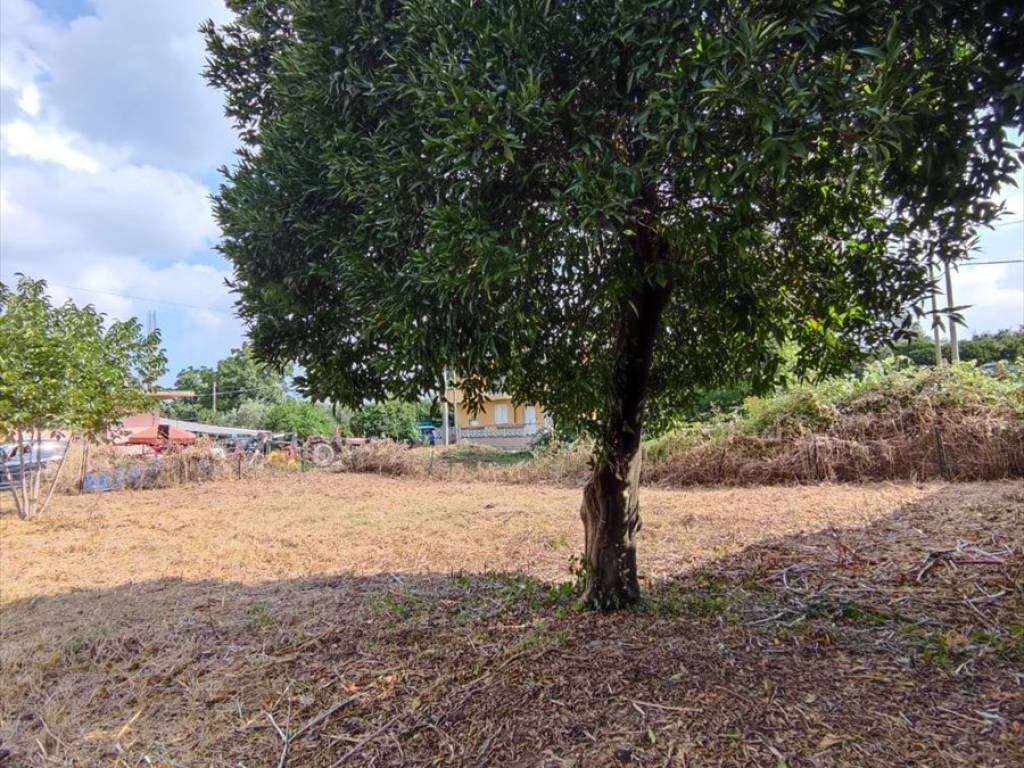 Terreno a Taurianova in Via Carmine Luvara - Foto 3