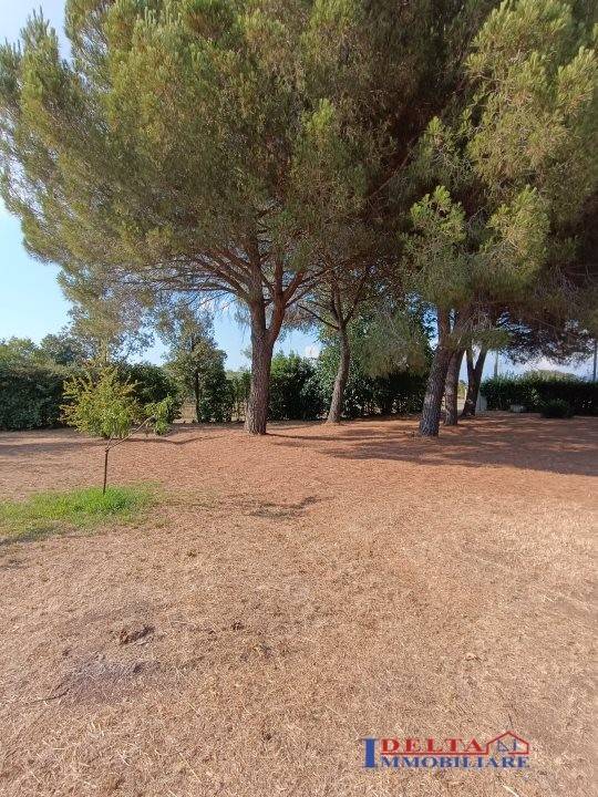 Terreno a Rosignano marittimo - Foto 2