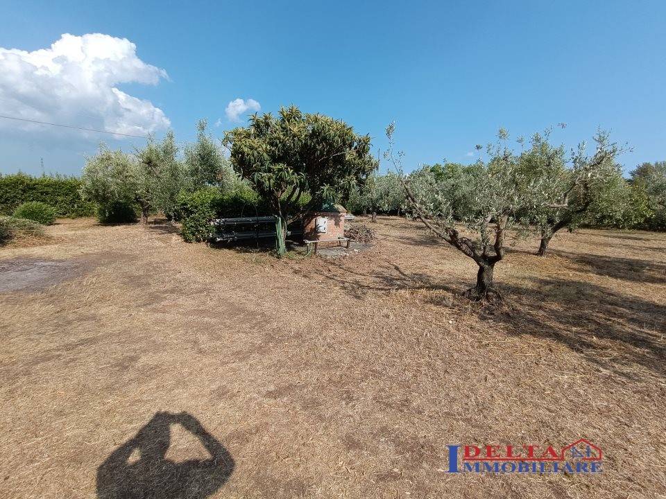 Terreno a Rosignano marittimo - Foto 4