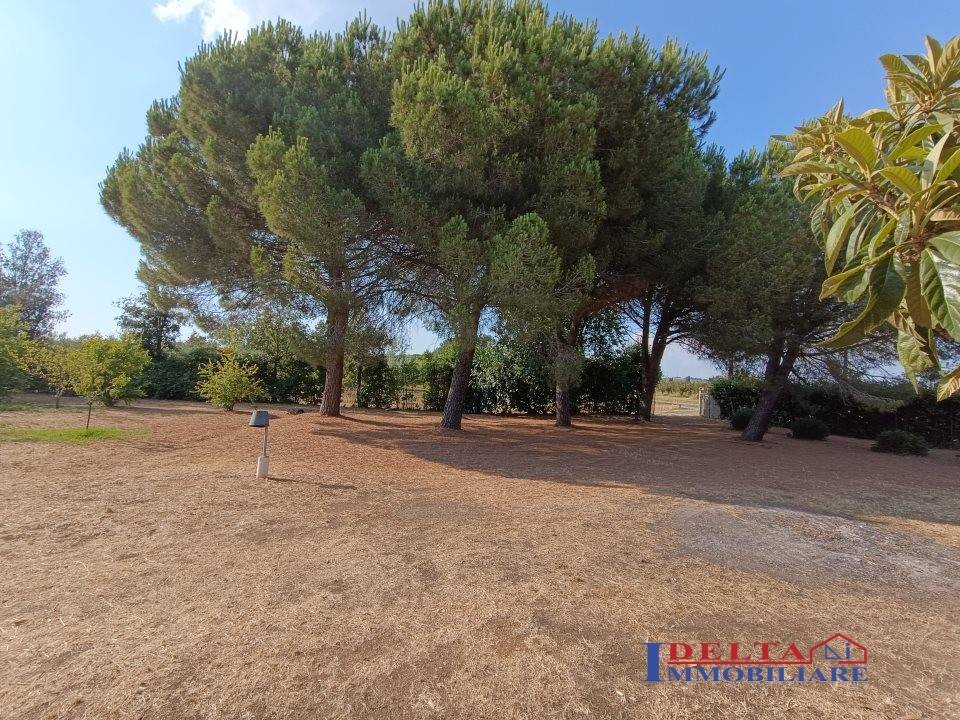 Terreno a Rosignano marittimo - Foto 5