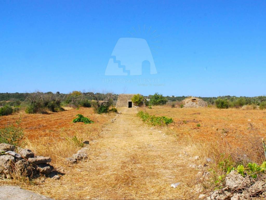 Terreno a Presicce-acquarica in Strada Comunale del Colle - Foto 2