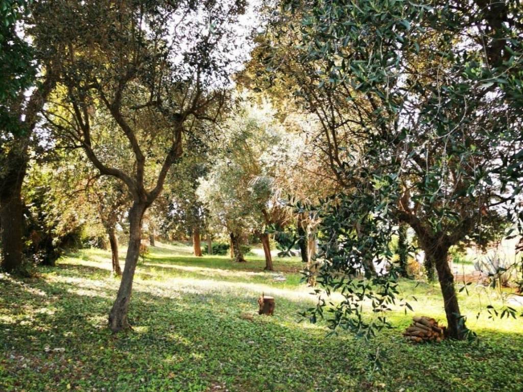 Rustico / casale a Montemarciano in Via Casino Pulini, 17 - Foto 5