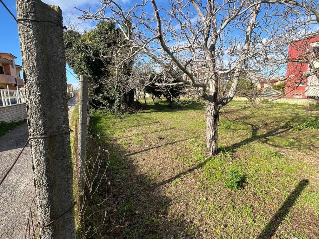 Terreno a Somma vesuviana in Via Micco - Foto 3