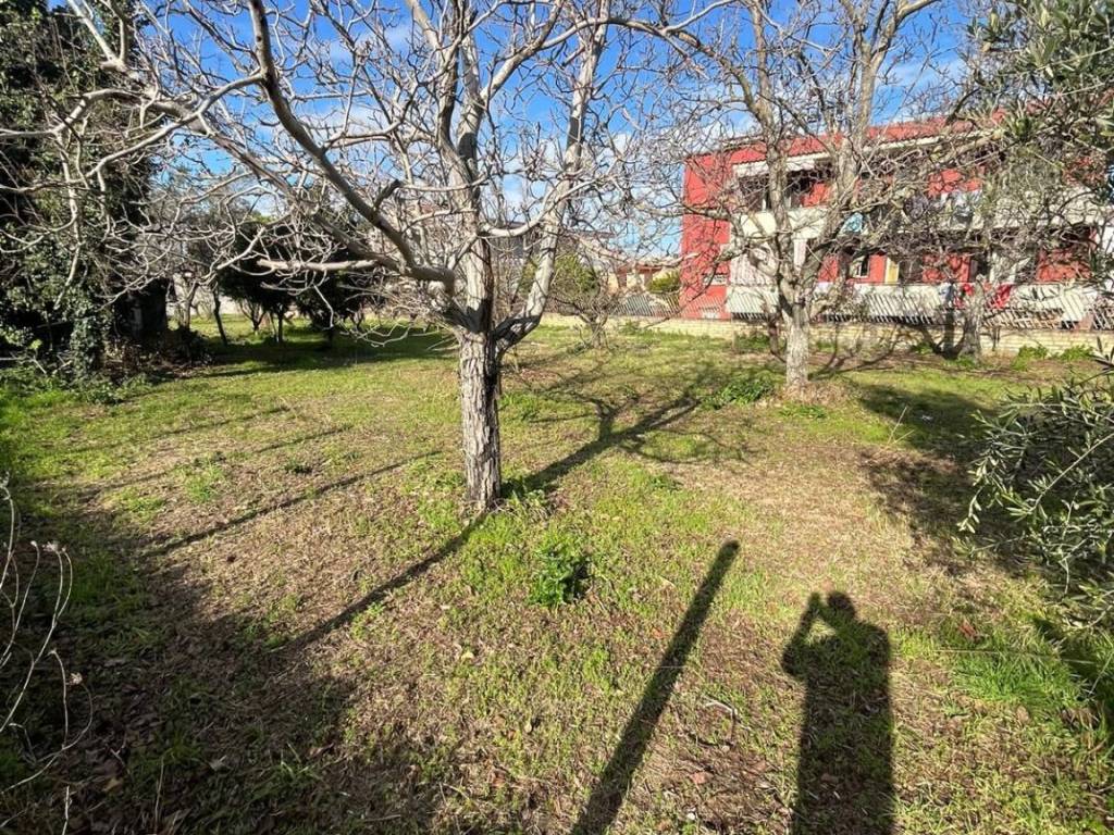 Terreno a Somma vesuviana in Via Micco - Foto 5