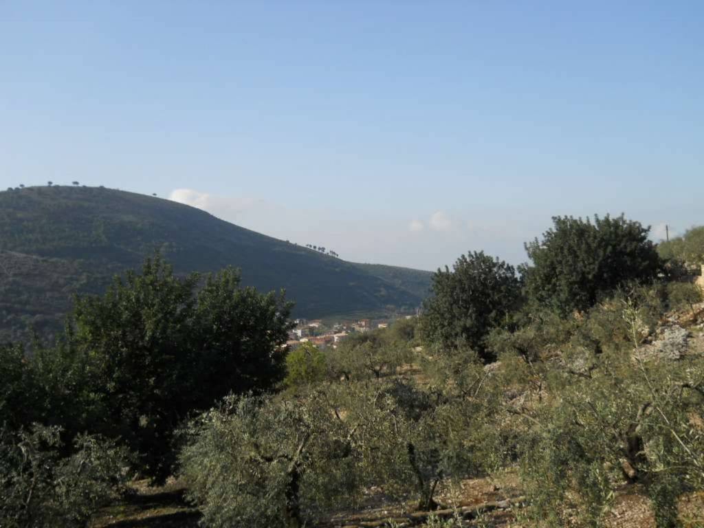 Villa a Fondi - Foto 4