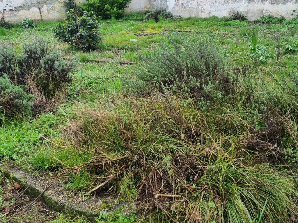 Terreno a Lodi in Via Dionigi Biancardi, 1 - Foto 3