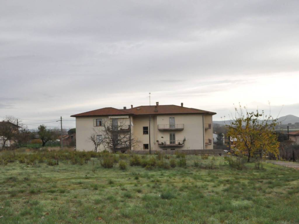 Terreno a Castiglione del lago in Località Muffa - Foto 2