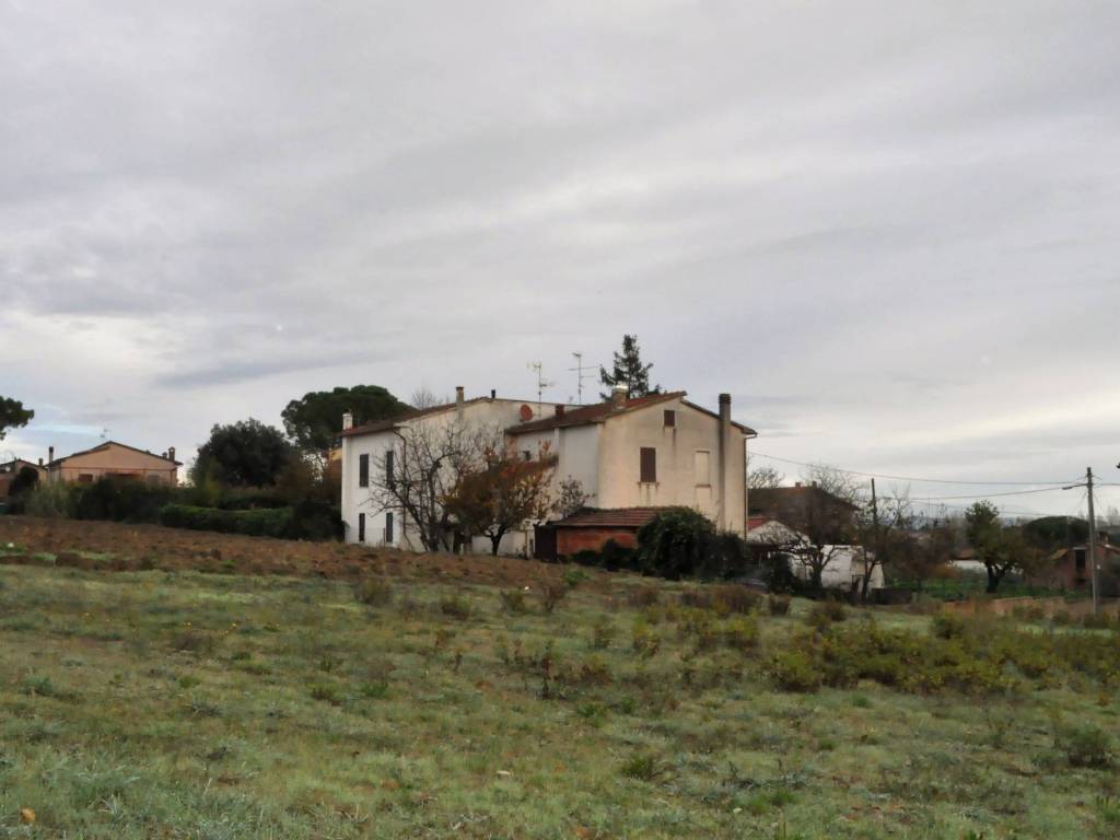 Terreno a Castiglione del lago in Località Muffa - Foto 5