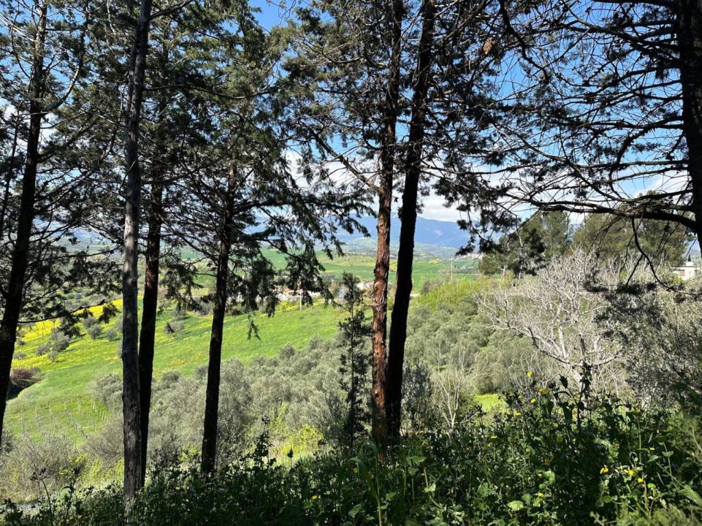 Villa a Alanno in Via Tirassegno - Foto 4